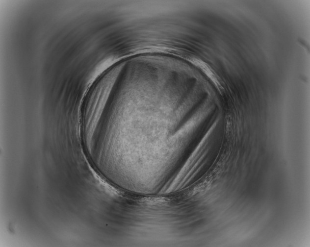X0000096681143200802191347