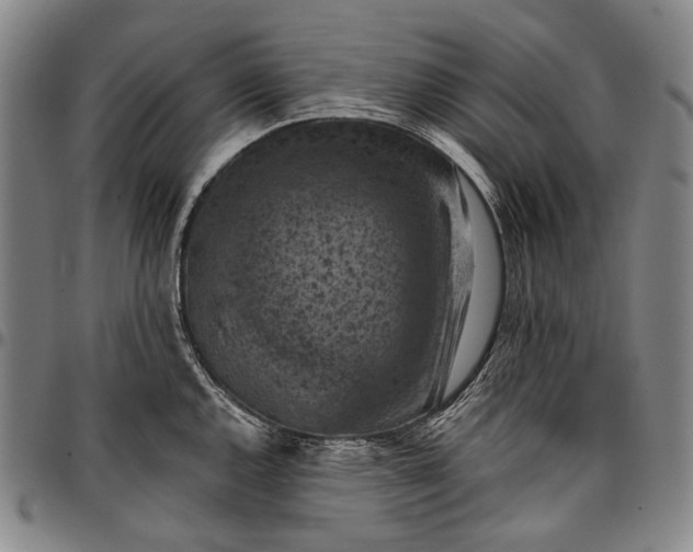 X0000096681144200802191347