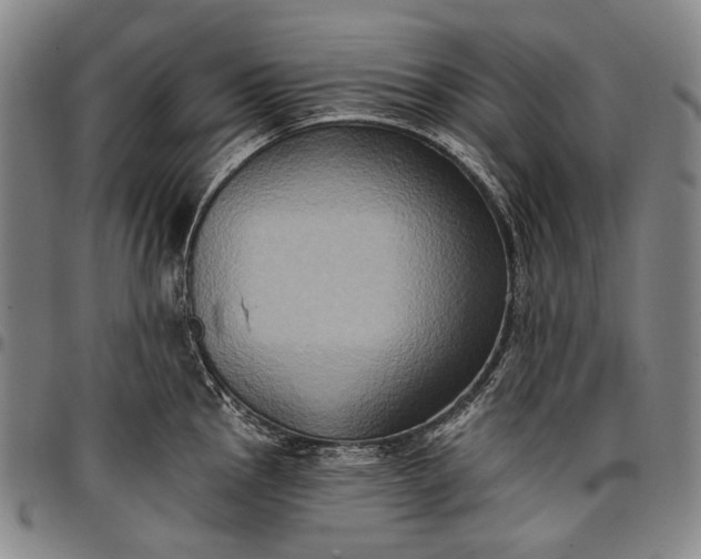 X0000096681145200802191347