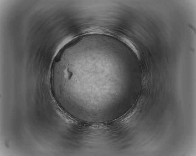 X0000096681146200802191347