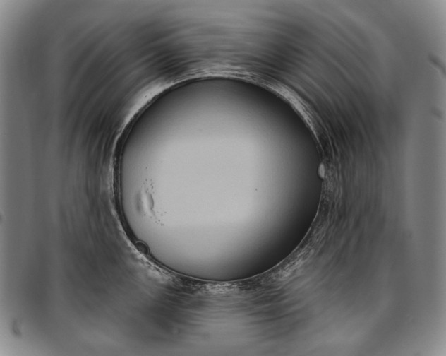 X0000096681147200802191347