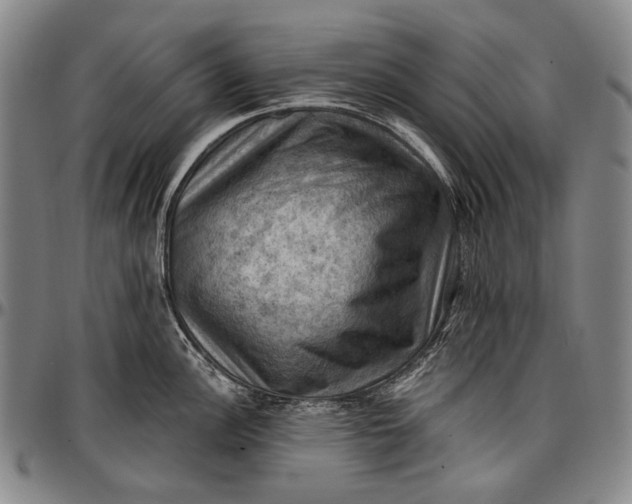 X0000096681148200802191347