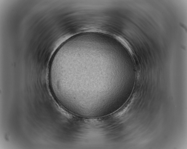 X0000096681149200802191347