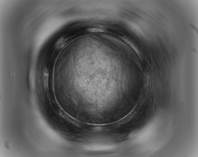 X0000096681151200802191347