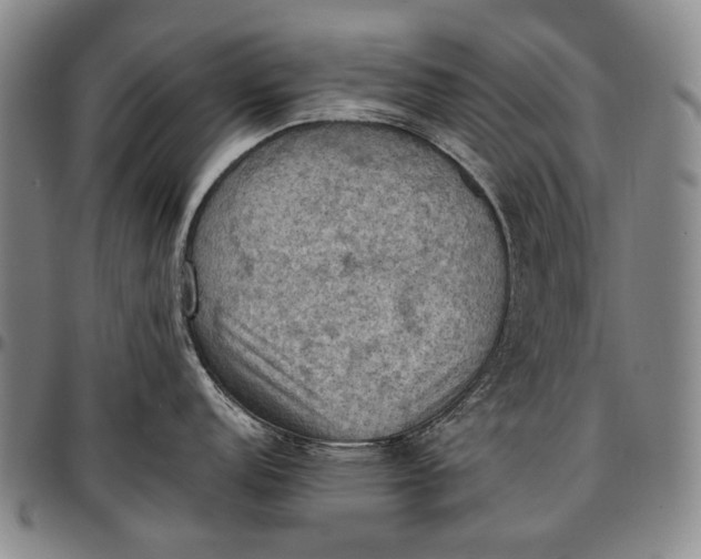 X0000096681152200802191347