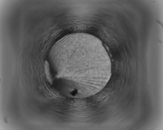 X0000096681153200802191346