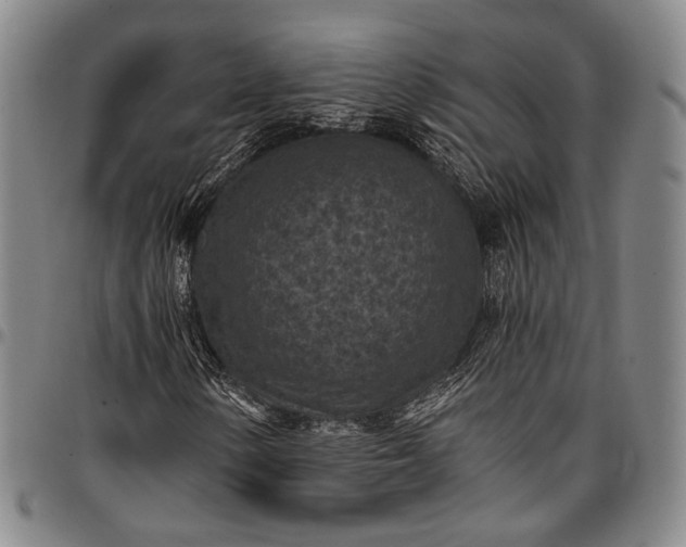 X0000096681154200802191346