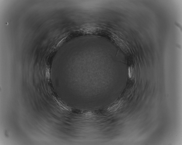 X0000096681155200802191346