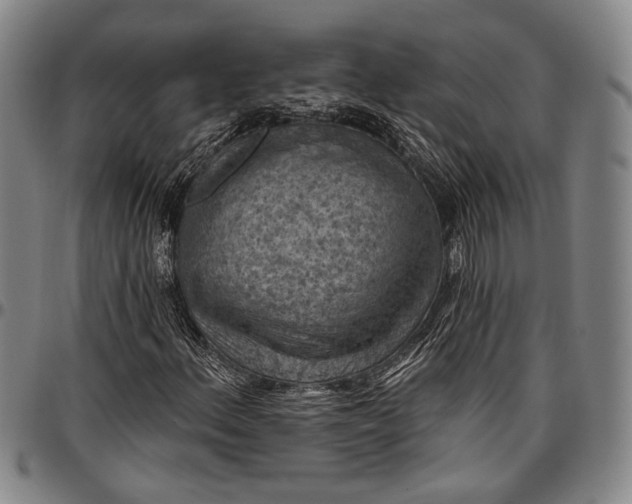 X0000096681156200802191346