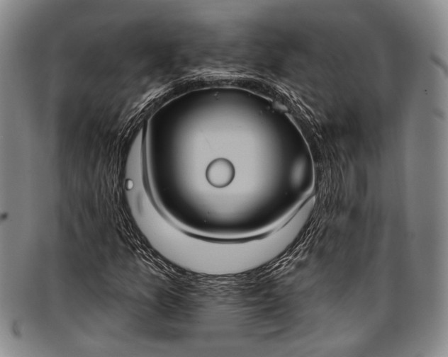 X0000096681157200802191346