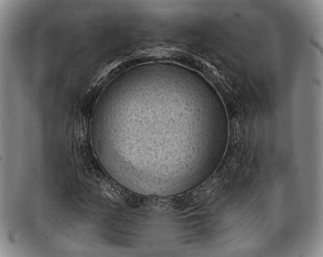 X0000096681158200802191346