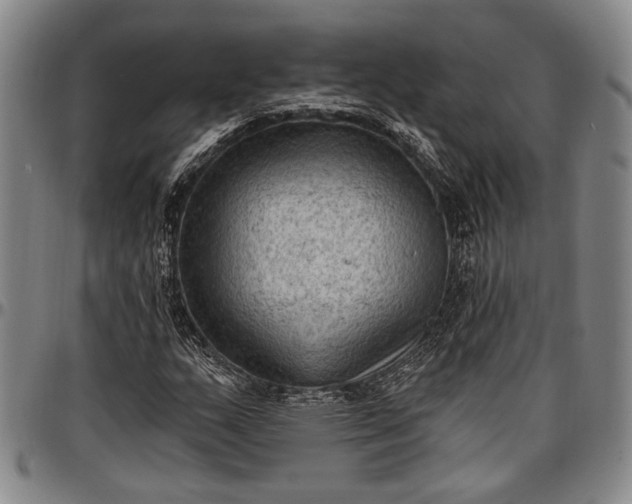 X0000096681159200802191346