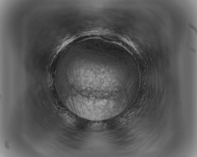 X0000096681160200802191346