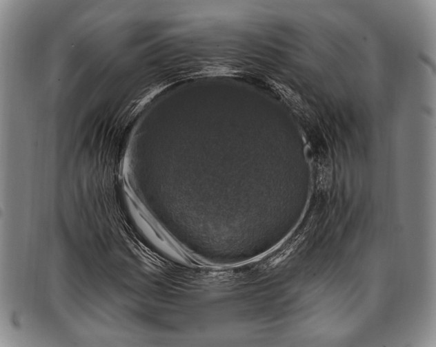 X0000096681161200802191346