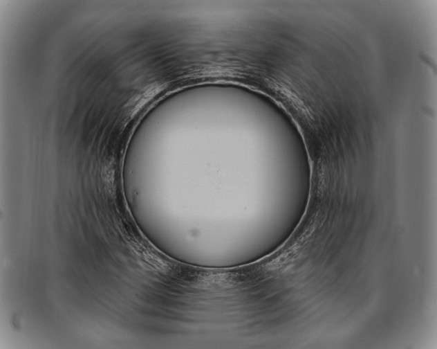 X0000096681162200802191346