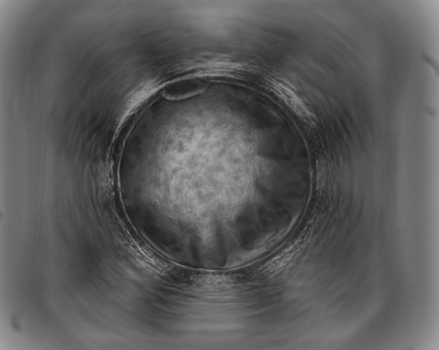 X0000096681164200802191346