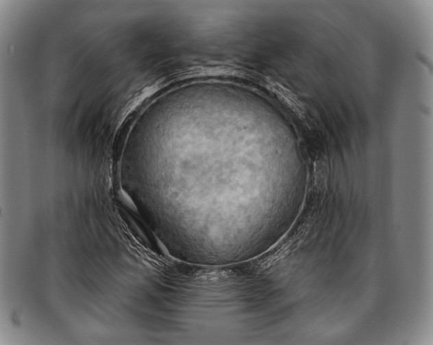 X0000096681165200802191346