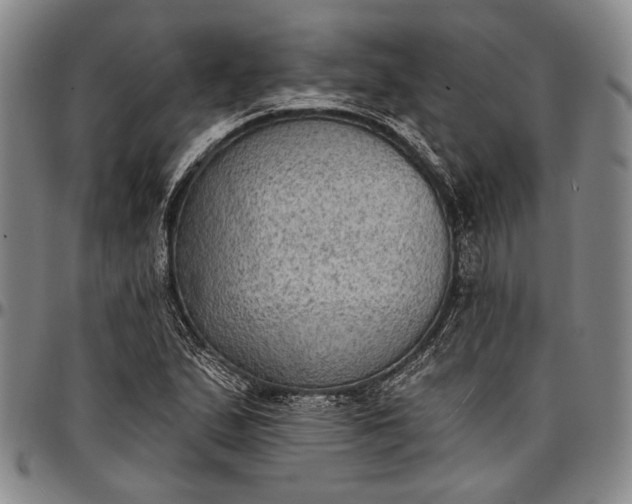 X0000096681167200802191346