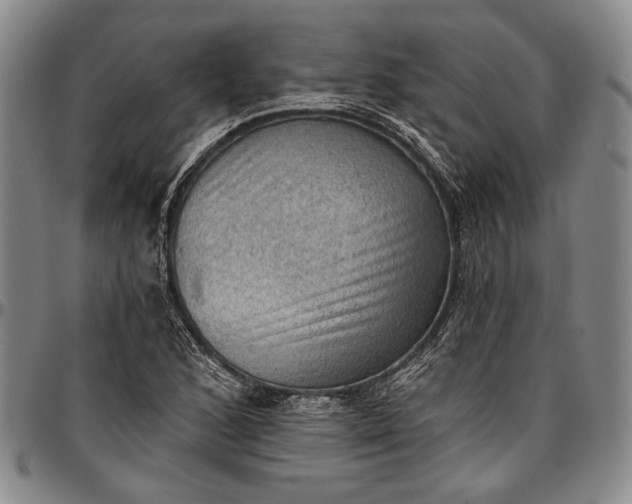 X0000096681168200802191346