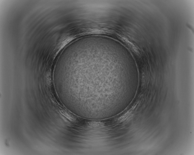 X0000096681170200802191346
