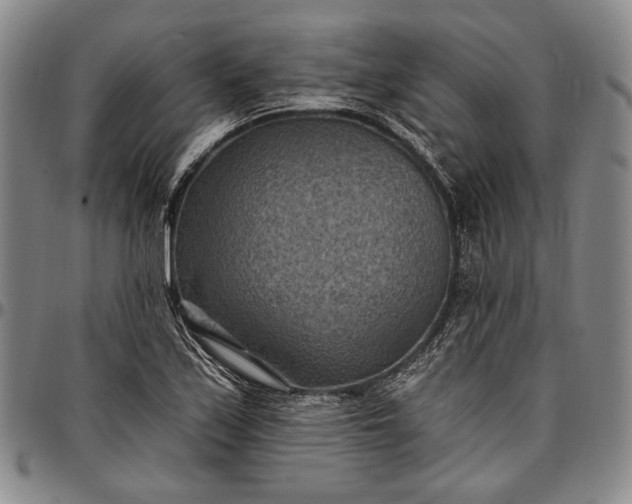 X0000096681171200802191346