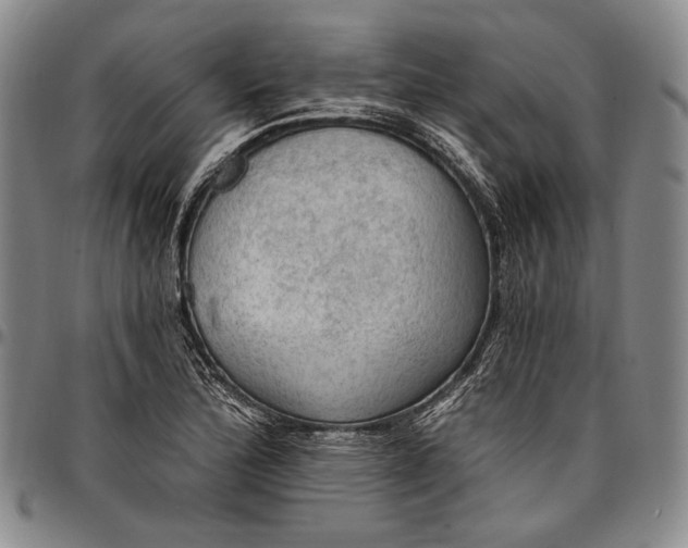 X0000096681172200802191346