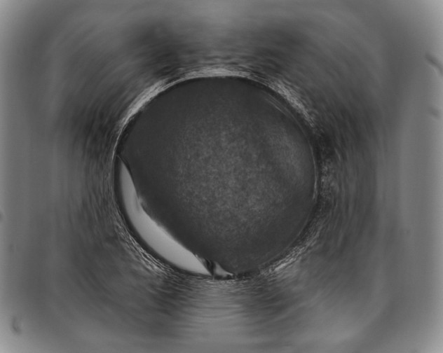 X0000096681173200802191346