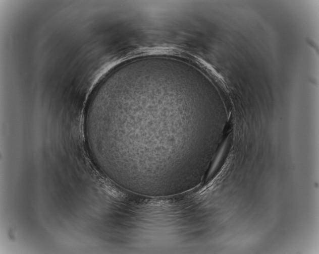 X0000096681174200802191346