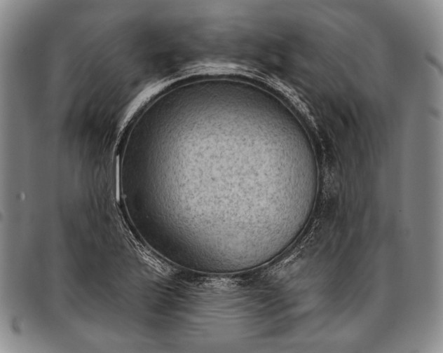 X0000096681175200802191346