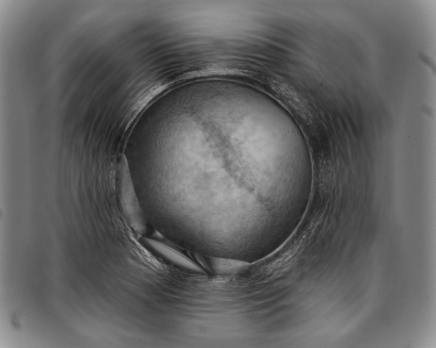 X0000096681177200802191346