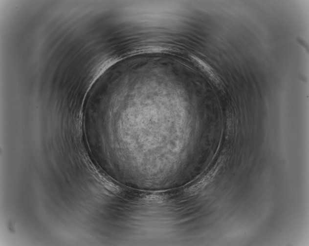 X0000096681178200802191346