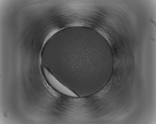 X0000096681179200802191346