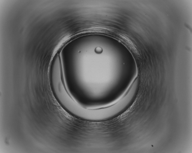 X0000096681180200802191346