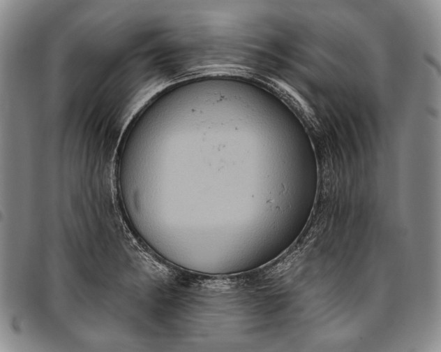 X0000096681182200802191346