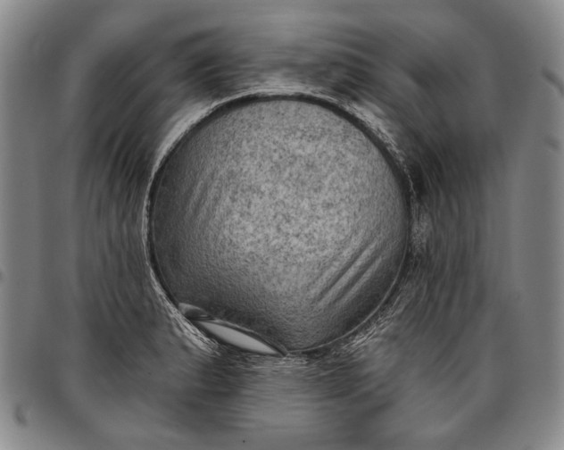 X0000096681183200802191346