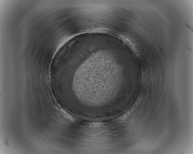 X0000096681184200802191346