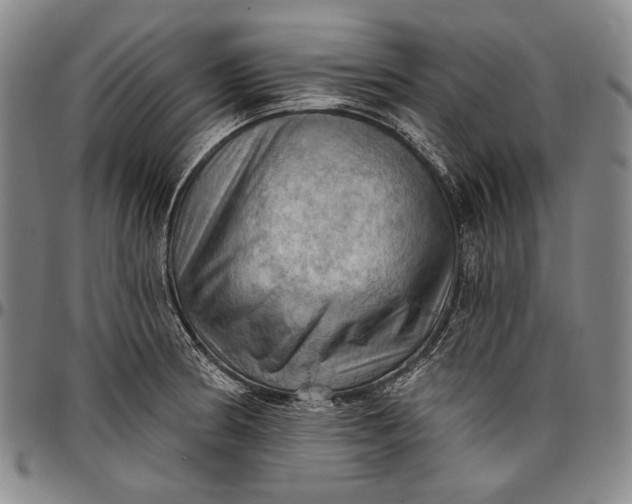 X0000096681186200802191346