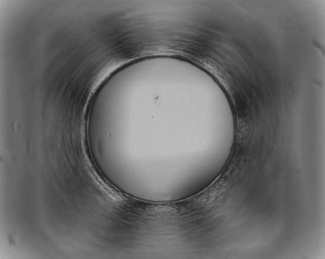 X0000096681187200802191346