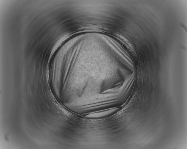X0000096681188200802191345