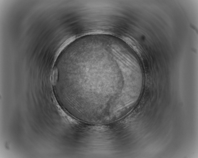 X0000096681189200802191345