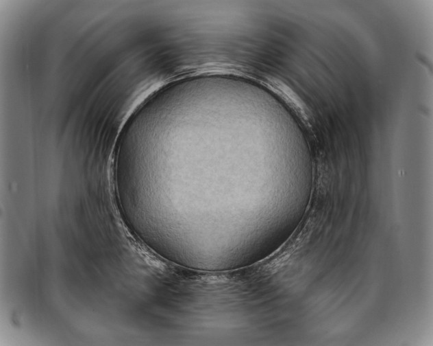 X0000096681190200802191345