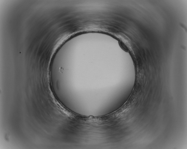 X0000096681191200802191345