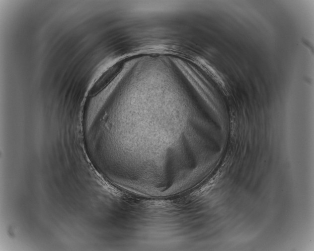 X0000096681192200802191345