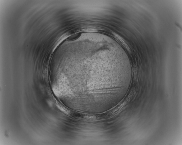 X0000096681194200802191345