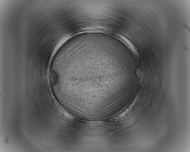 X0000096681196200802191345