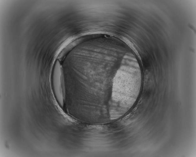 X0000096681197200802191345