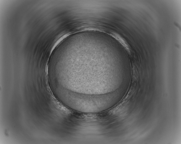 X0000096681198200802191345