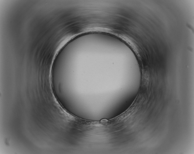 X0000096681199200802191345