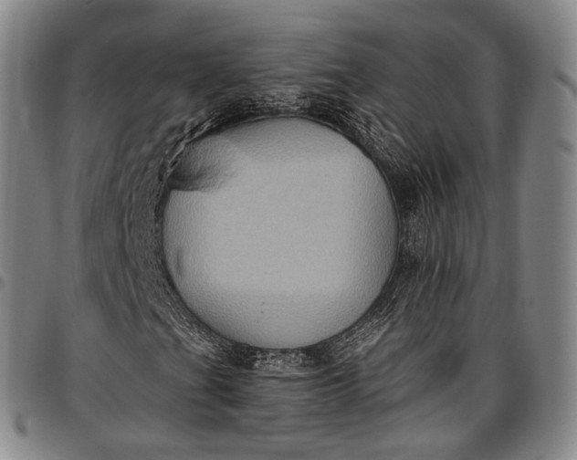 X0000096681201200802191345
