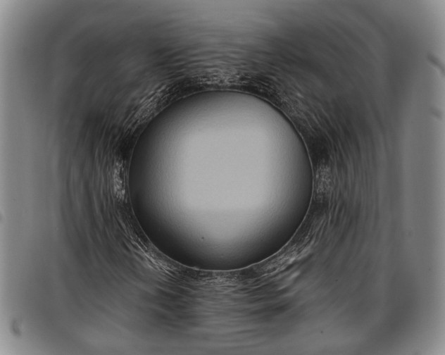 X0000096681202200802191345